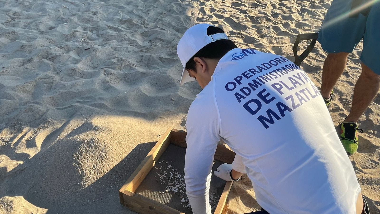 Los microplásticos, su presencia en peces y el llamado que hace la Operadora de Playas Mazatlán.