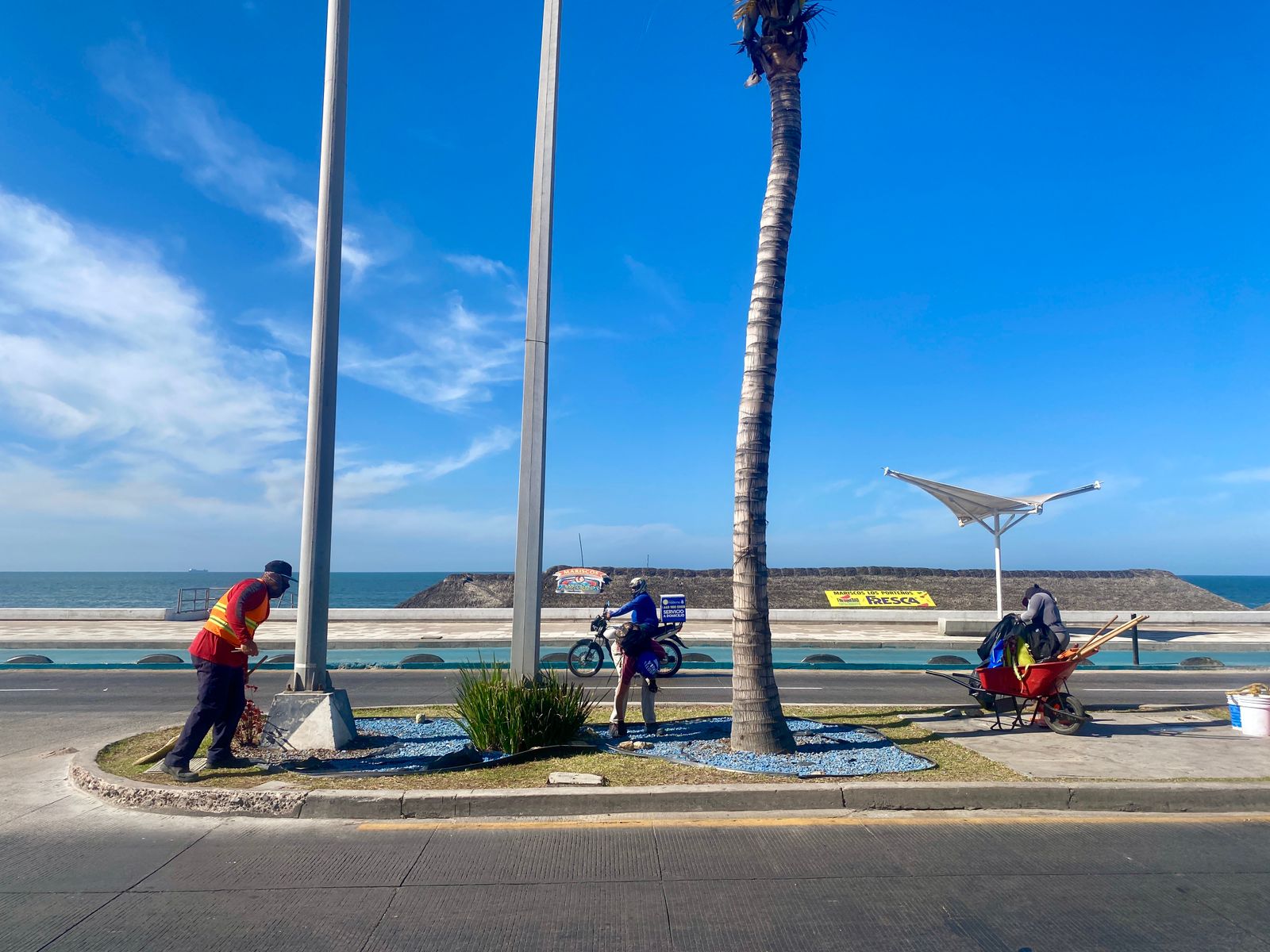 Servicios Públicos realiza trabajos de regeneración de áreas de avenida Del Mar.