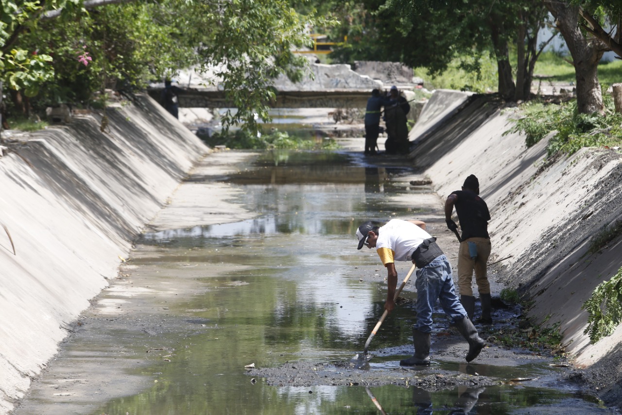 La Dirección de Obras Publicas desazolva 50 mil metros lineales de canales de Mazatlán