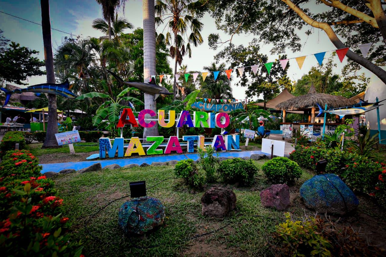Celebra Gobierno de Mazatlán 42 aniversario de Acuario Mazatlán