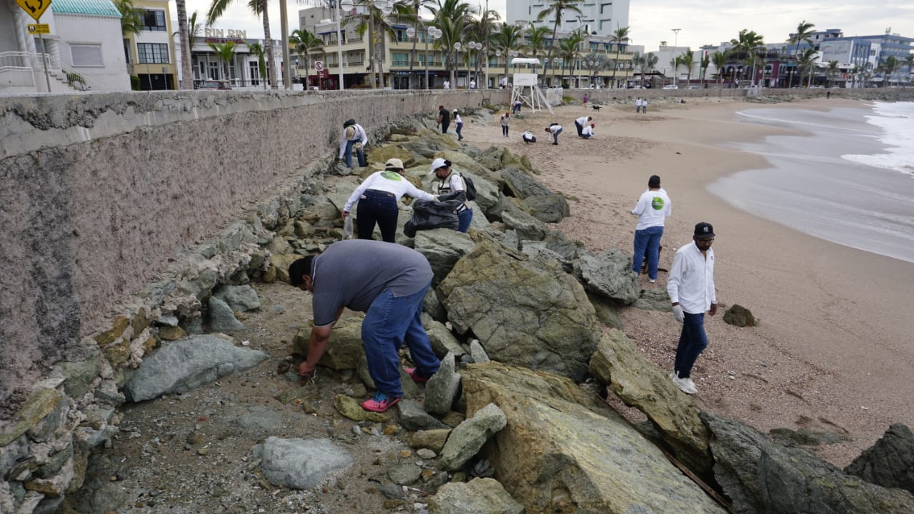Direcciones municipales realizan jornada de limpieza en playa de Olas Altas
