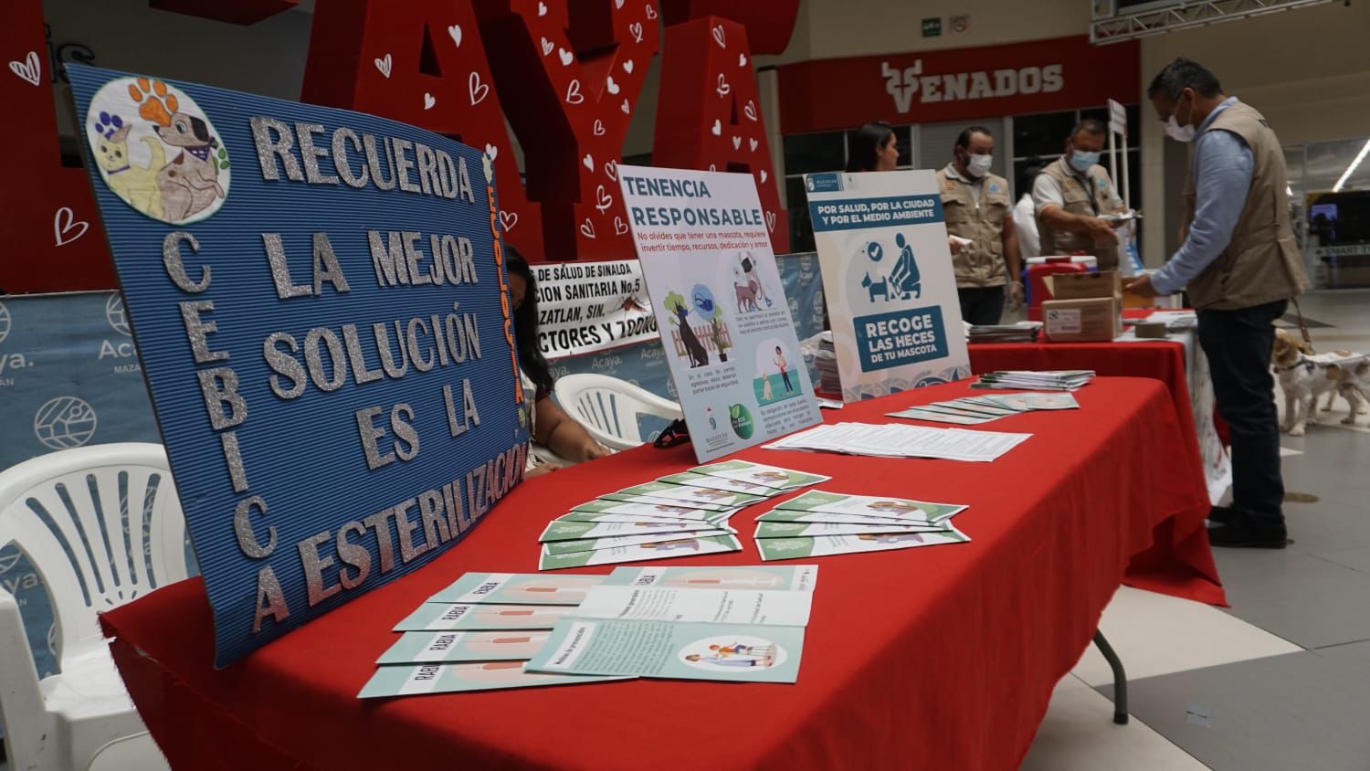 Dirección de Ecología conmemora el Día Mundial Contra la Rabia, con campaña de vacunación a perros y gatos