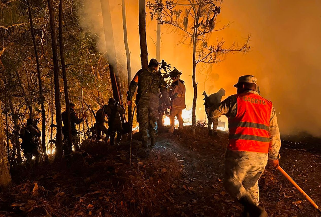 Llama Ecología y Medio Ambiente a prevenir incendios forestales
