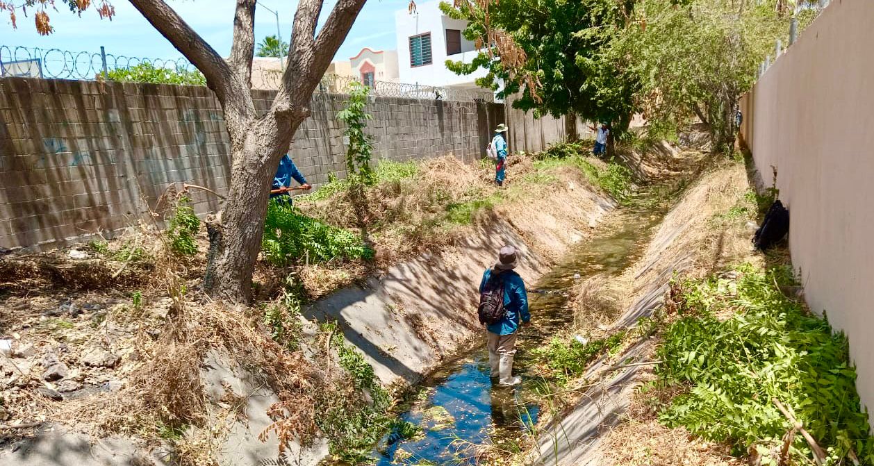 Obras Públicas continúa abatiendo rezago en desazolve en canales y regeneración de calles en colonias de Mazatlán