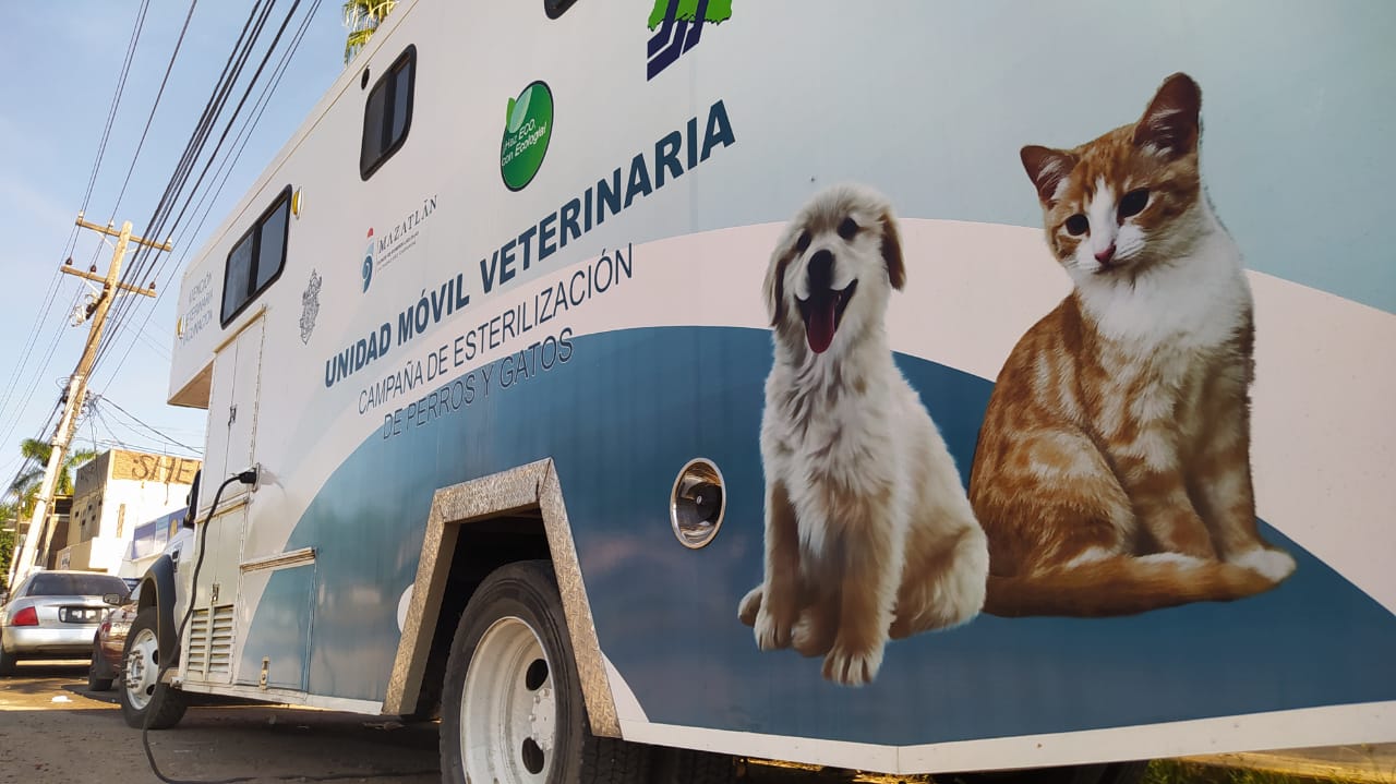 Continúa Gobierno Municipal con campaña de esterilización de perros y gatos.