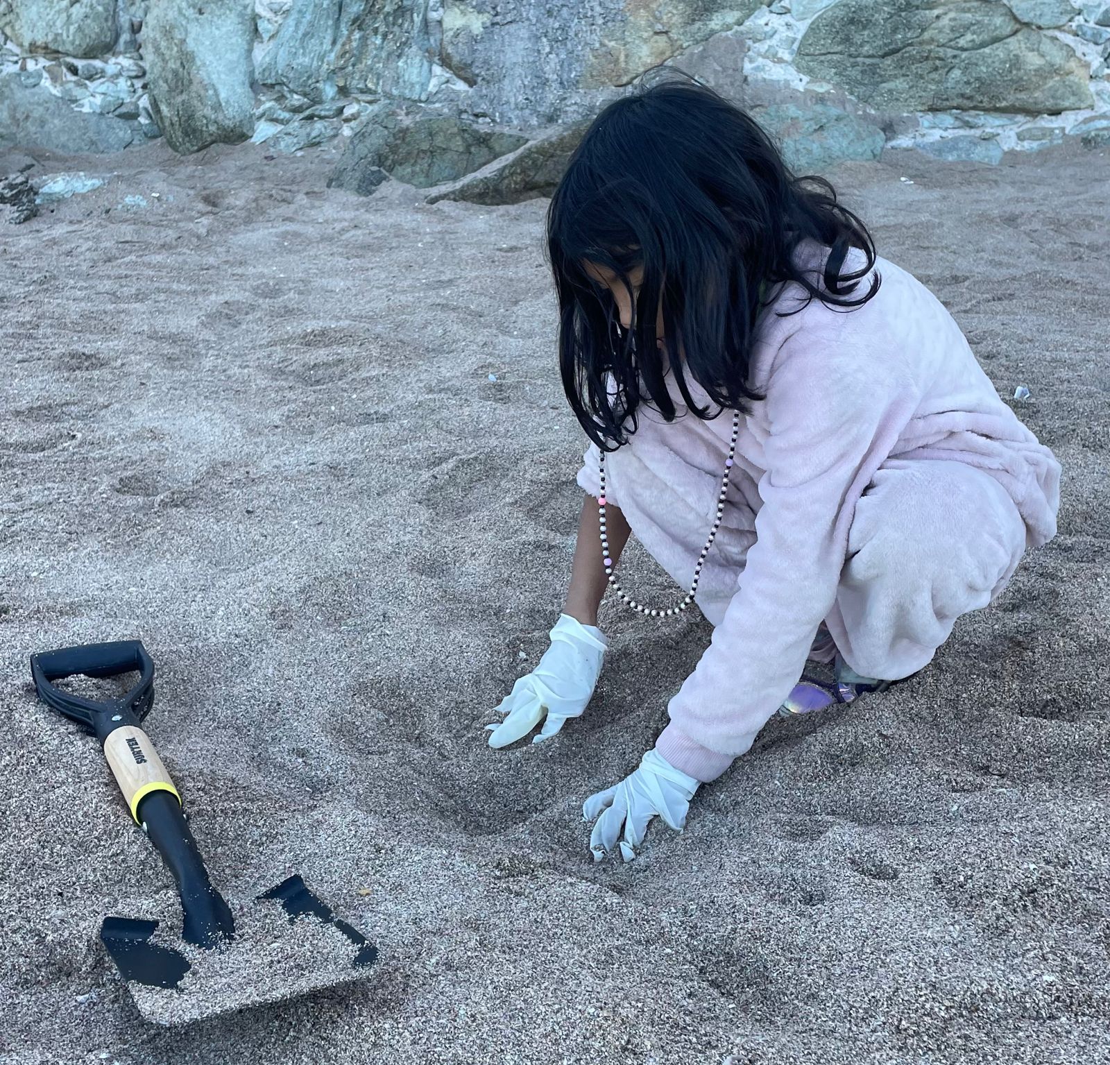 Une esfuerzos Operadora de Playas con Jumapam y Consejo Rector del Centro Histórico para limpiar playa de Olas Altas