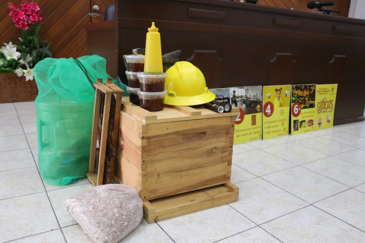 Mazatlán primer municipio de Sinaloa en trabajar en la protección y el rescate de abejas