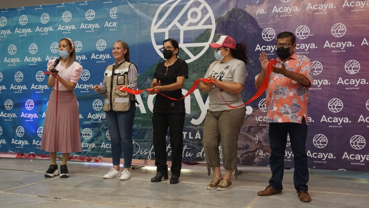 Realiza Ecología pasarela de perros y gatos que necesitan un nuevo hogar