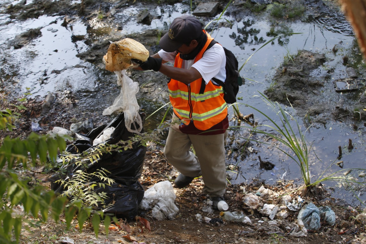 Más de 53 toneladas de basura, maleza y escombro recolectó Servicios Públicos en avenida Jacarandas